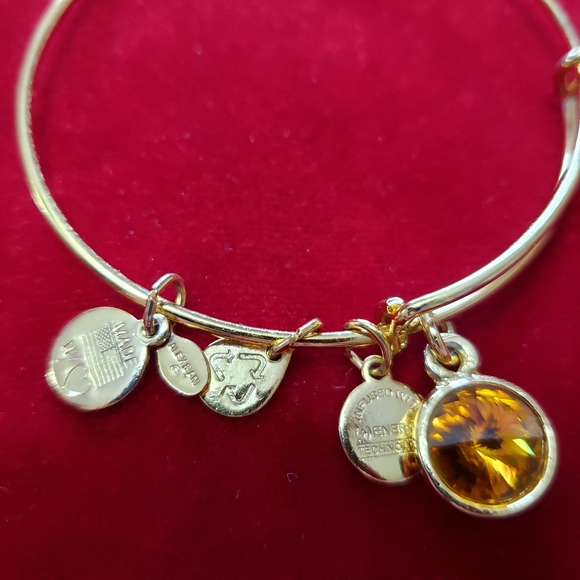 Alex and Ani CRYSTAL BIRTHSTONE NOVEMBER BRACELET - Picture 5 of 7